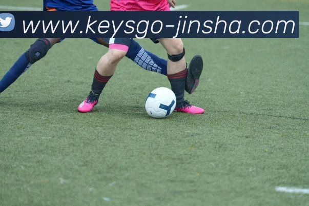 金沙娱乐平台生态图